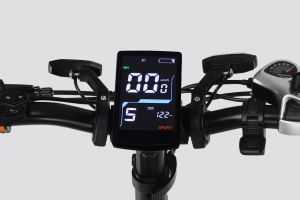 Instrument Cluster of Flex GO