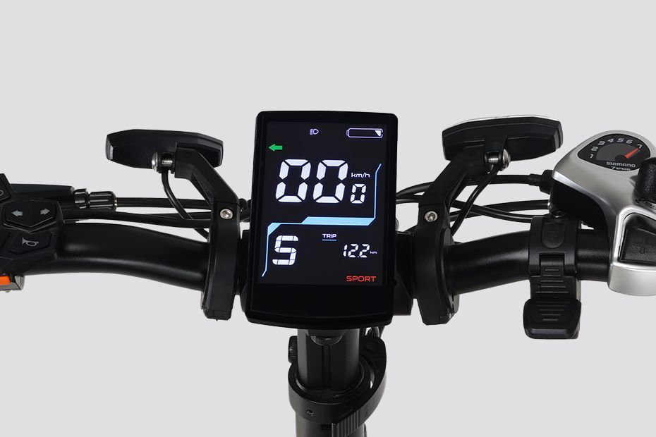 Instrument Cluster of Flex GO