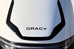 Model Badge of Gracy