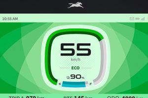 Odometer of iQube S