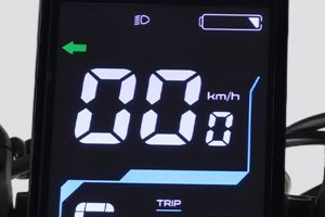 Odometer of Flex GO