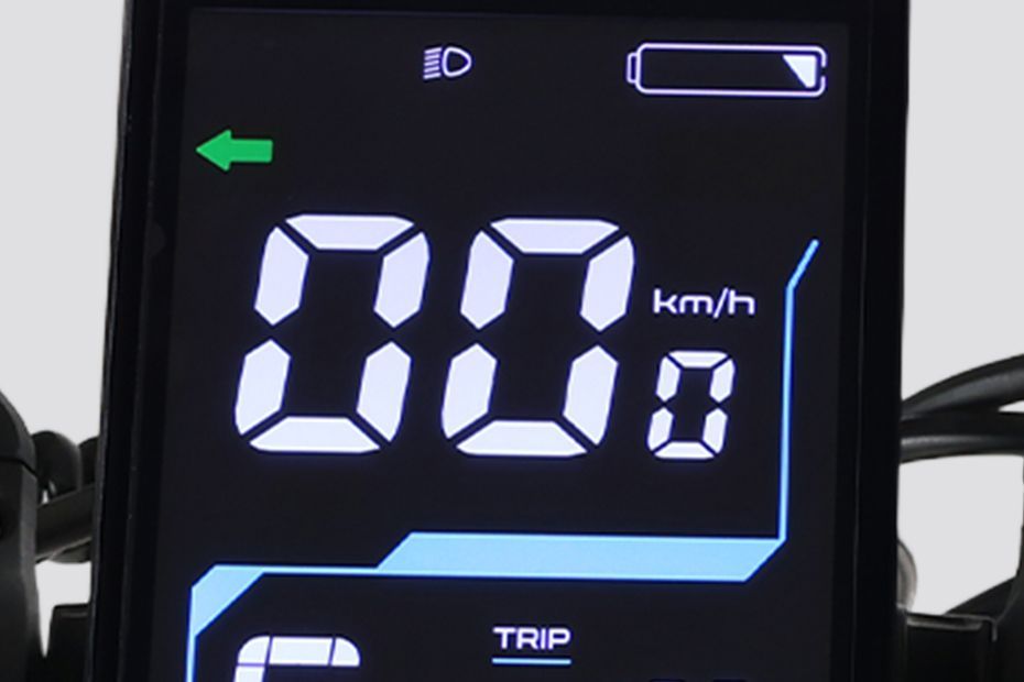 Odometer of Flex GO