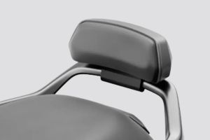 Pillion Backrest of Rizta