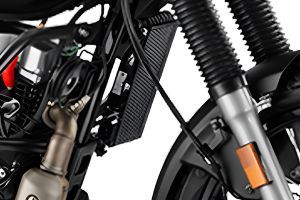 Radiator of XPulse 200 4V