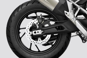 Rear Brake of Tiger 900