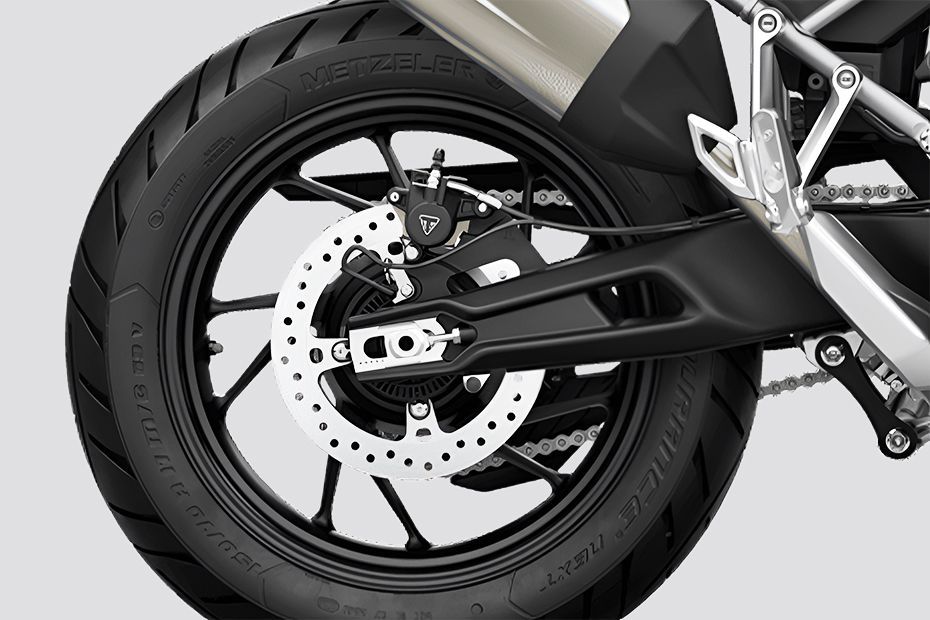 Rear Brake of Tiger 900
