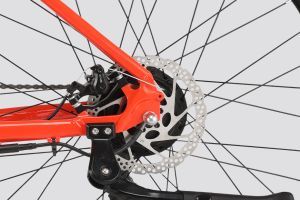 Rear Brake of Sherpa M1