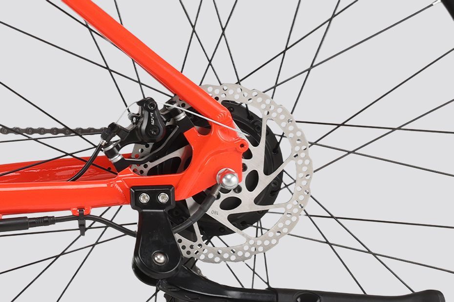 Rear Brake of Sherpa M1