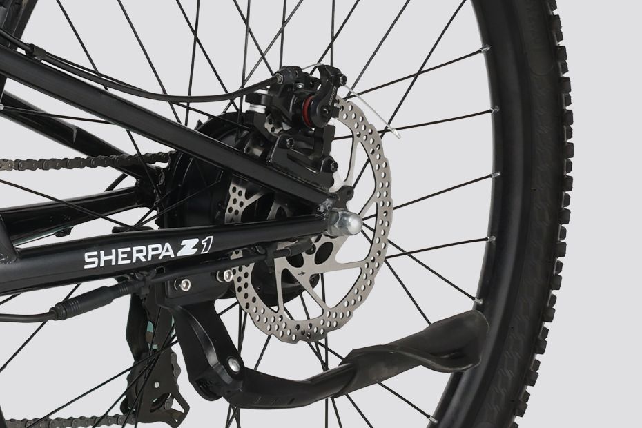 Rear Brake of Sherpa Z1