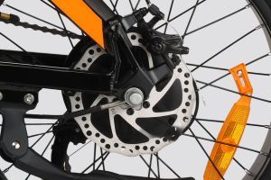 Rear Brake of Flex GO