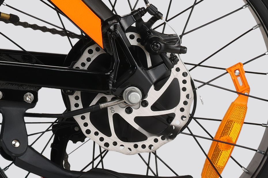 Rear Brake of Flex GO