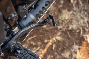 Rear Brake Lever of Model_