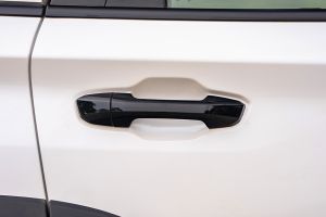 Rear Door Handle Image of Majestor
