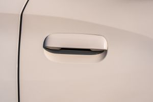Rear Door Handle Image of C3