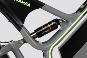 Rear Suspension of Street Mamba
