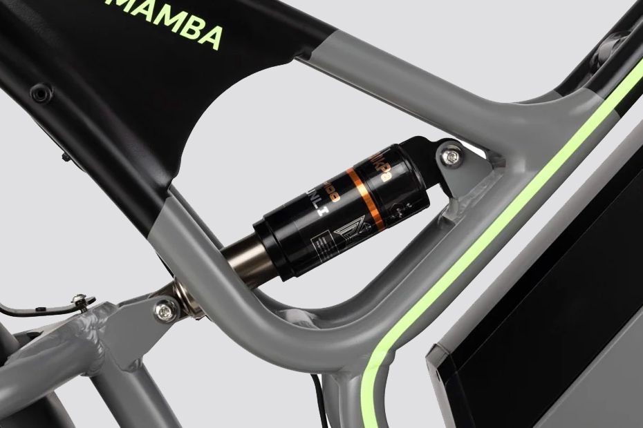 Rear Suspension of Street Mamba
