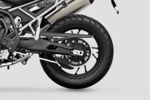 Rear Wheel of Tiger 900
