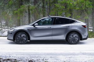 Side Profile View (Left) Image of Model Y