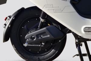 Swing Arm of Gracy