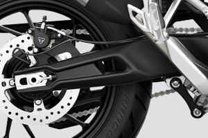 Swing Arm of Tiger 900