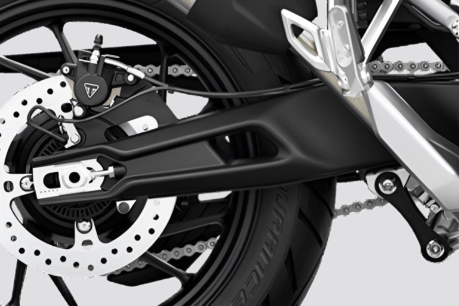 Swing Arm of Tiger 900