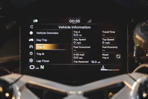 Trip Meter Image of Manx R