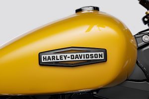 Brand Badge of Street Bob