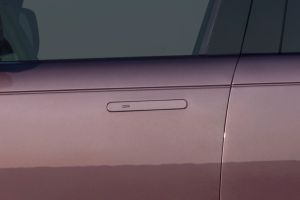 Door Handle Image of Range Rover Electric