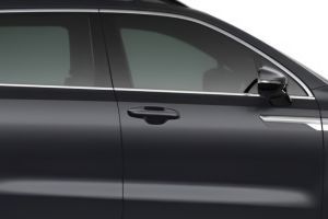 Door Handle Image of Sorento