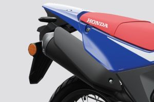 Exhaust (End Can) of XR 300 Rally