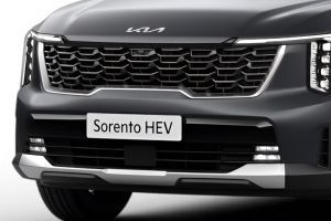 Front Grille Image of Sorento