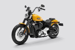 Front Left Quarter View View of Street Bob