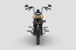 Front View of Street Bob
