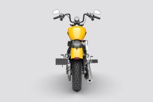 Rear View of Street Bob