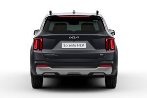 Rear View Image of Sorento
