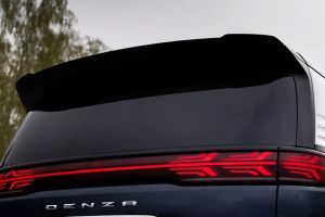 Rear WindShield Image of D9
