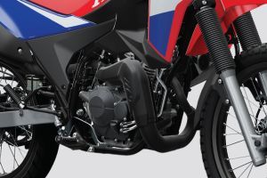 Engine (Right) of XR 300 Rally