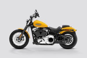 Side Profile View (Left) of Street Bob