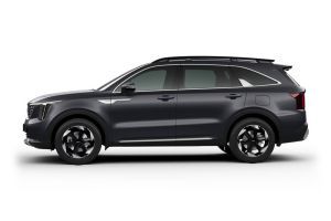 Side Profile View (Left) Image of Sorento