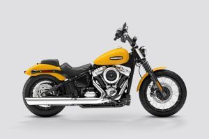 Side Profile View (Right) of Street Bob