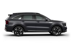Side Profile View (Right) Image of Sorento
