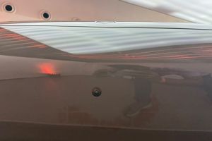 360 Degree Camera (Front) Image of Cayenne Electric