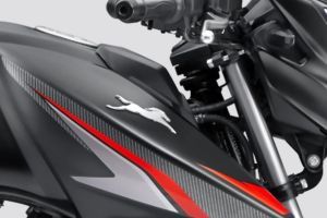 Brand Badge of Apache RTR 160