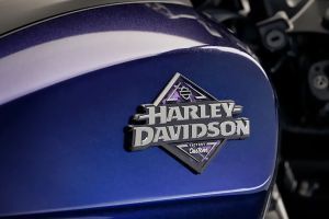 Brand Badge of Sportster S