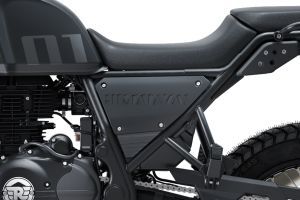 Central Panel of Himalayan 440