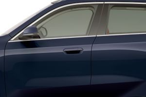 Door Handle Image of X1 LWB
