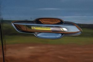 Door Handle Image of Hector Tomahawk EV