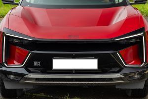Front Grille Image of BE 6