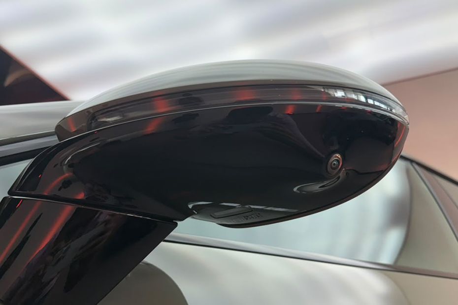 Outside Mirror Image of Cayenne Electric
