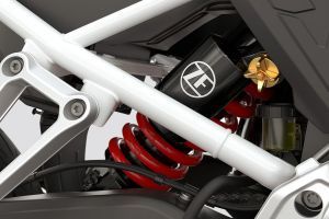 Rear Suspension of F 900 GS